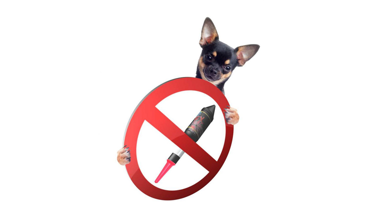Onderzoek: meerderheid huisdierenbaasjes voor particulier vuurwerkverbod