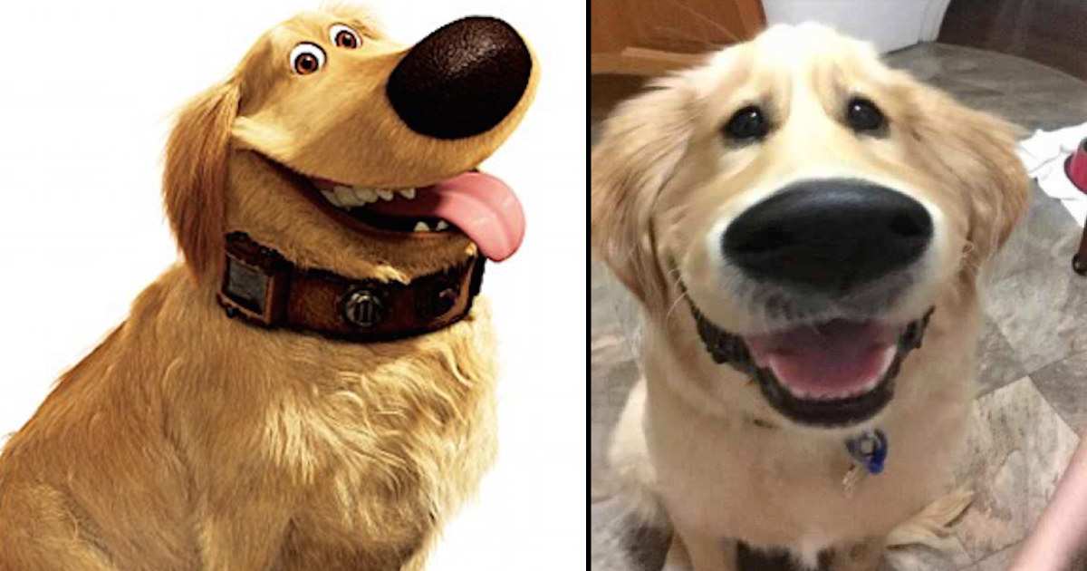 10 foto’s van Snapchat filters op honden