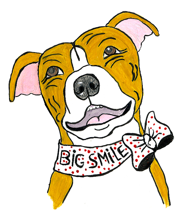 Big Smile Project