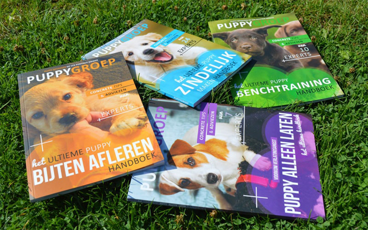 De 4 ultieme puppyboeken die helpen jouw pup op te voeden