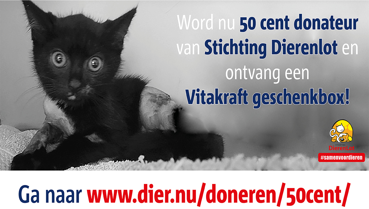 Word donateur van Stichting DierenLot en ontvang een GRATIS Vitakraft geschenkbox!