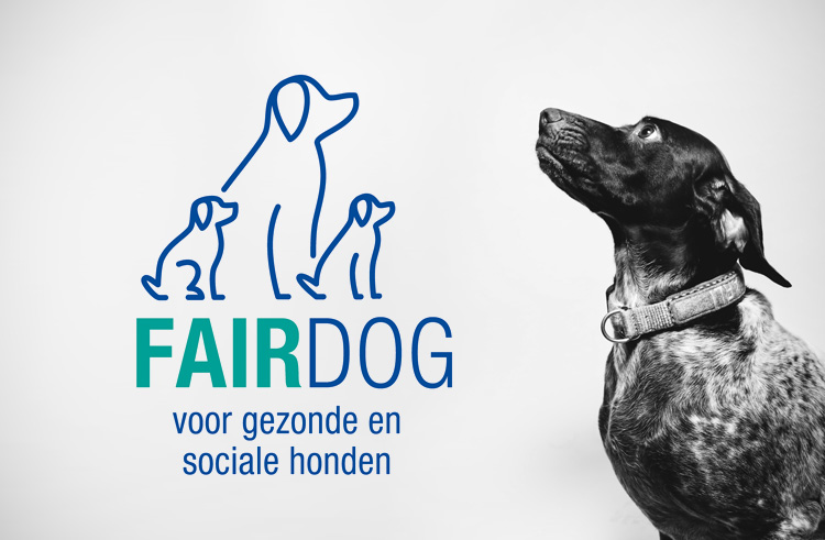 Nieuw initiatief Fairdog voor aanschaf hond