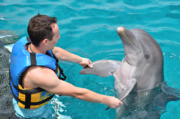 zwemmen met dolfijnen