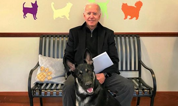 ‘First Dog’ Major is de eerste ex-asielhond in het Witte Huis