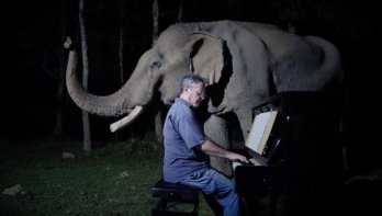 Olifant geniet op zijn oude dag van Beethoven-video