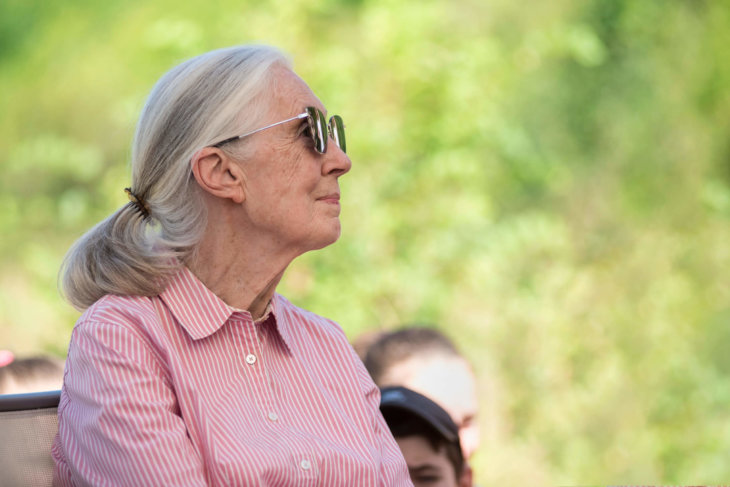 Dr. Jane Goodall over de wereld na corona