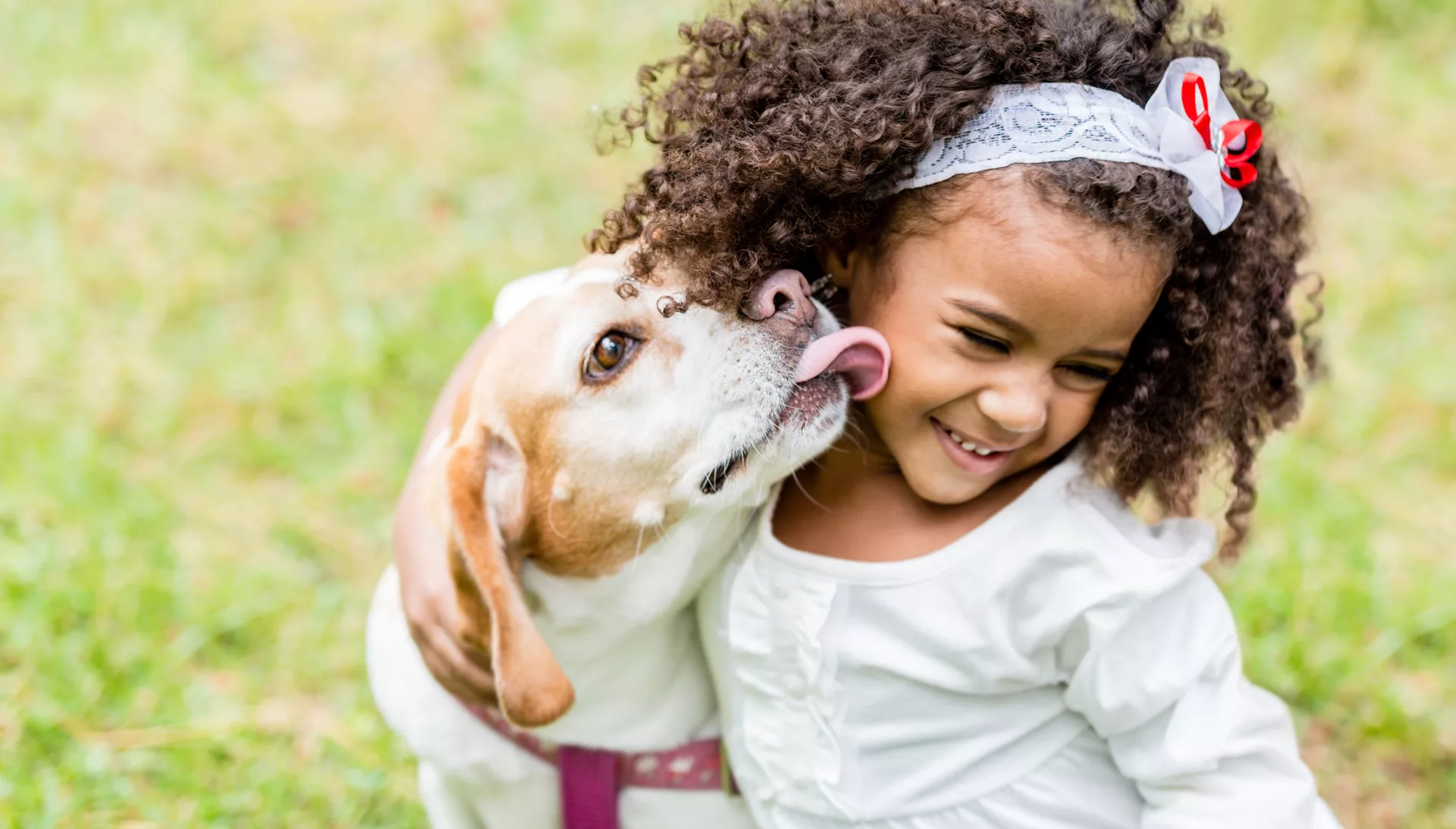 Kind & hond: Basisregels voor een gouden combinatie